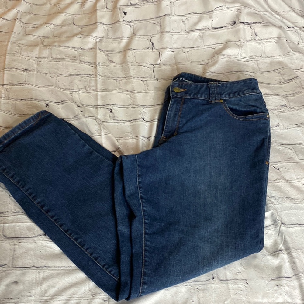 Lane Bryant Genius Fit Womens Jeans
